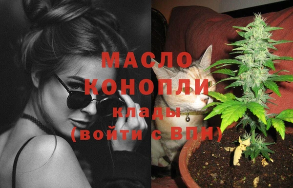 индика Баксан