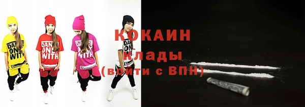 индика Баксан