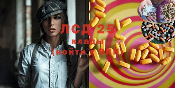 индика Баксан