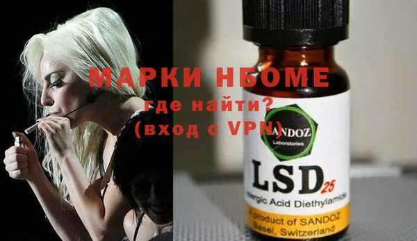 индика Баксан