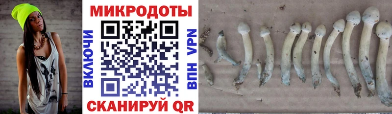 Псилоцибиновые грибы MAGIC MUSHROOMS  kraken онион  Барыш  даркнет сайт 